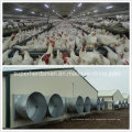 Casa da exploração avícola da estrutura de aço com equipamento de cultivo